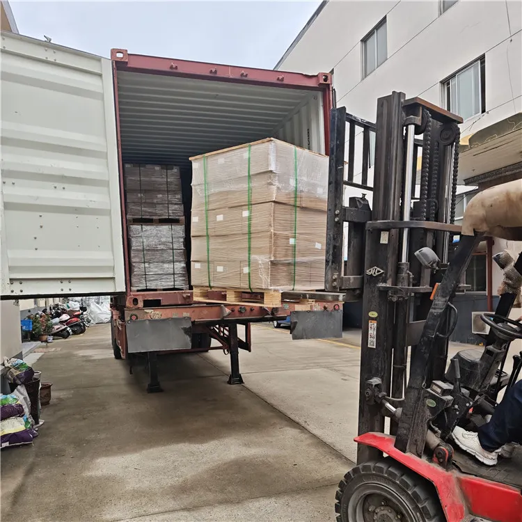 Wir haben 30.000 Sicherheitsgurte nach Ägypten verschickt