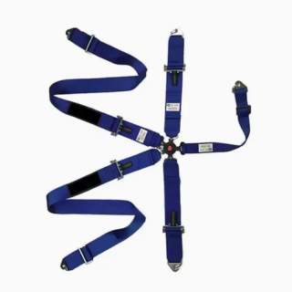 Was ist die bestimmende Rolle von Sicherheitsgurten des Automobils im Zeitalter des autonomen Fahrens?